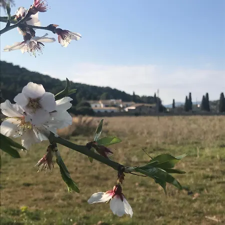 Holiday home Masia Centenaria En