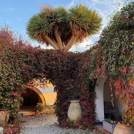 Masia Centenaria En Holiday home Sitges