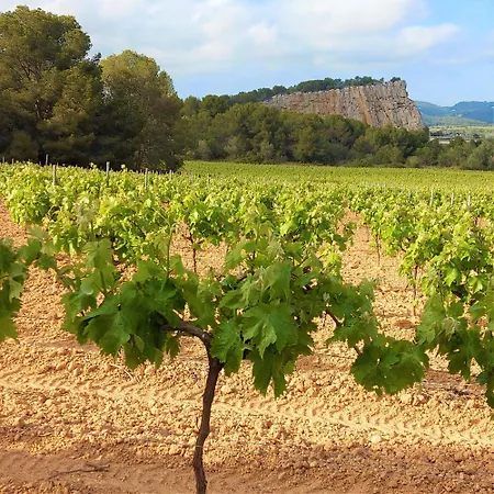 Masia Centenaria En * Sitges