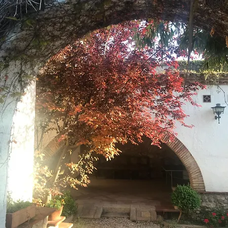 Masia Sencies 度假居 锡切斯